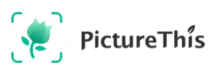 PictureThis