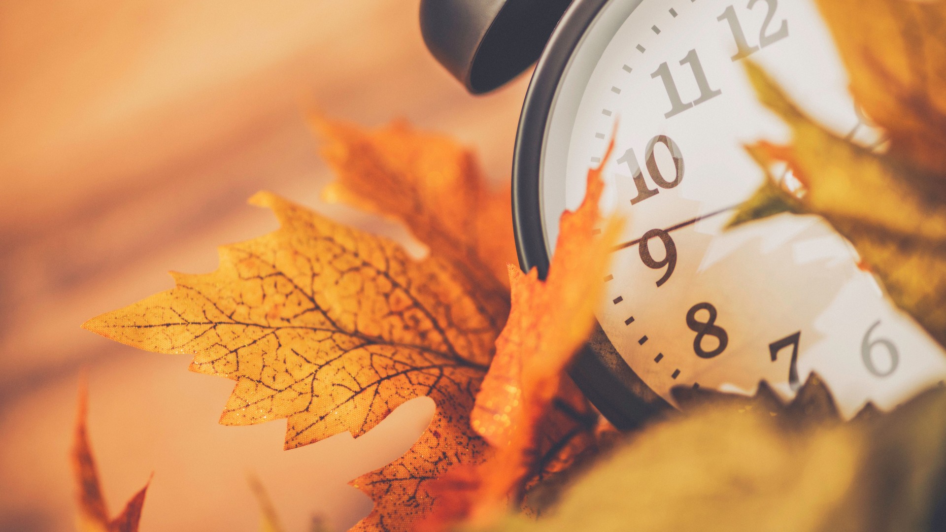 Fall is time to turn back time. Daylight Savings Time
